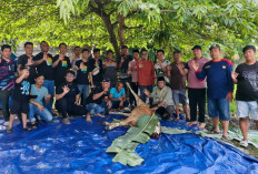Momentum Idul Adha 1447 H, BSI Prabumulih Bersama Wartawan Berbagi Hewan Kurban