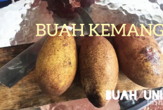 Jaga Kecantikan dan Kesehatan Kulit dengan Buah Kemang
