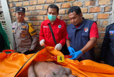 Pria di OKU Ditemukan Tewas Diselokan