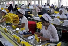Dugaan PHK Buruh Mie Sedaap Masih Dimonitor