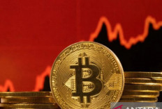 Nilai Transaksi Kripto Tembus Rp224 Triliun: Bitcoin Diusulkan Jadi Aset Strategis !