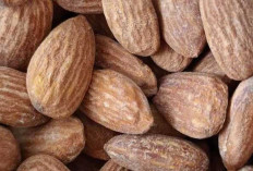 Manfaat Kacang Almond bagi Kesehatan dan Kecantikan