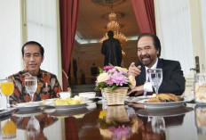 NasDem : Pertemuan Jokowi dan Paloh Sudah Lazim