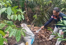 Heboh Warga Amuk Pencuri Kopi di OKU Selatan, Polisi Ungkap Ada Motif Pembunuhan