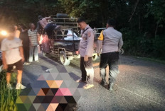  Adu Kambing Motor VS Minibus, Warga Tanjung Atab Barat Tewas Ditempat