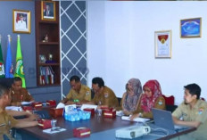Pemkot Lubuklinggau Dorong Penguatan Statistik Sektoral, Wujudkan Perencanaan Pembangunan Yang Lebih Akurat
