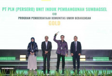 PT PLN Sukses Raih 2 Penghargaan Gold dan Silver 