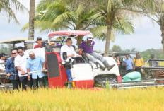 Pj Gubernur Sumsel Dampingi Menko Pangan  Panen Raya di Banyuasin