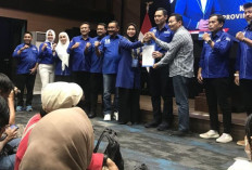 Daftar Lengkap Bakal Calon Kepala Daerah di 51 Kabupaten/Kota yang Diusung Demokrat !