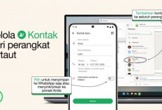 WhatsApp Luncurkan Fitur Baru : Tambah dan Kelola Kontak Tanpa Batas !