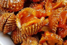 Rahasia Memasak Kerang : Anti Amis, Lebih Gurih dan Tetap Aman Dikonsumsi