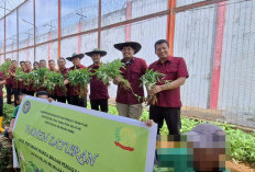 Wujudkan Ketahanan Pangan : Panen Raya Sayur Kangkung Hasil Budidaya Warga Binaan !