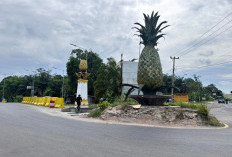 Warga Prabumulih Tolak Pembongkaran Tugu Nanas, Aksi Penolakan Viral di Media Sosial