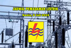 PLN Umumkan Pemadaman Listrik Terjadwal Hari Ini : Berikut Wilayah ULP Palembang yang Terdampak !