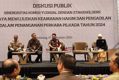 Amzulian Rifai : Keamanan Hakim Harus Jadi Prioritas di Tengah Konflik Pilkada !