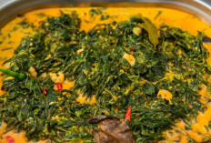 Resep Gulai Daun Singkong Lezat dan Gurih Khas Nusantara yang Mudah Dibuat di Rumah
