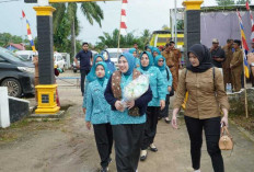 Staf Ahli TP PKK Sumsel Lidyawati Cik Ujang Perkuat Silaturahmi dan Evaluasi Program TP PKK Banyuasin