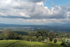  Jalur Pendakian Gunung Dempo Ditargetkan Dibuka Kembali Sebelum Akhir Mei 2026