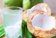 Obati Penyakit Campak dengan Air Kelapa