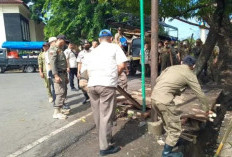  Satpol PP OKU Bongkar Paksa Lapak Pedagang Buah