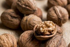 Turunkan Asam Lambung dan Atasi Insomnia dengan Buah Pala