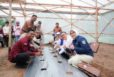 PLN Dukung Program Srikandi Movement KWT