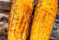 Jagung Bakar, Idola Anak-Anak yang Tak Pernah Lekang oleh Waktu