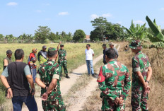 Kasdim 0402/OKI Tinjau Lahan Lokasi Panen Raya Serentak Bersama Presiden RI di Desa Jukdadak