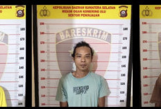 Tiga Pelaku Pencurian Kelapa Sawit Milik Mitra Ogan Diciduk Polisi