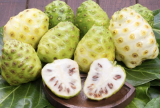 Atasi Jerawat dan Haluskan Kulit dengan Buah Pace