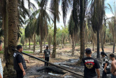 Tempat Jual Beli Minyak Ilegal Keluang Terbakar 