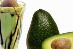 Jus Alpukat, Minuman Segar Kaya Gizi yang Jadi Favorit Banyak Orang