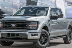 Sang Legenda Ford F-150 XLT V8 4x4: Raja Medan Berat dengan Kenyamanan SUV Premium !