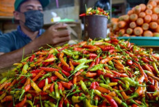 Harga Pangan 2 Maret 2025 : Cabai Rawit Meroket ke Rp91.100 per Kg, Bawang Merah Capai Rp39.550 per Kg !