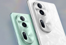 Oppo Reno 11 Series Resmi Meluncur : Spek Gahar, Kamera Super Canggih !  