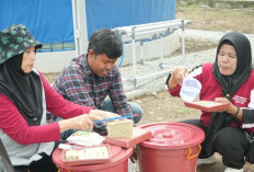  PT Semen Baturaja Kembangkan Program Hidroponik