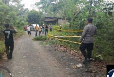 Jalan Penghubung Antar Desa di OKU Nyaris Putus Akibat Longsor