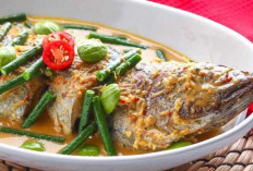 Lodeh Ikan Tongkol : Hidangan Tradisional yang Kaya Rasa dan Gizi