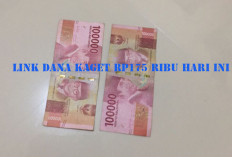 LINK DANA KAGET: Program Menarik yang Menawarkan Saldo Gratis Hingga Rp170.000, Begini Cara Klaimnya!