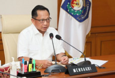 Tito Karnavian Dorong Kompetisi APBD dengan Insentif Fiskal