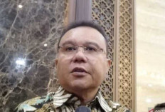 Sufmi Dasco Diutus Prabowo Temui Megawati 