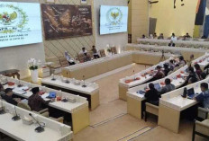 Minta Perkuat Tata Kelola BUMD dan BLUD Pemda