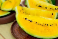 Redakan Nyeri Otot dengan Buah Semangka Kuning