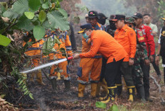 Pj. Bupati Banyuasin  Terjun Langsung Padamkan Kebakaran di Kenten Laut