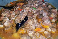 Pindang Kerang Sajian Gurih Pedas Khas Nusantara yang Menggugah Selera