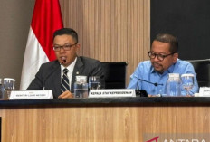 Diplomasi Korsel Dorong Konser K-pop