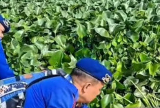 Polrestabes Palembang Sulap Eceng Gondok Jadi Pakan Ikan Bernilai Ekonomis