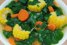 Sayur Bening Daun Katuk: Menu Sehat dan Kaya Manfaat untuk Keluarga