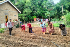 Bhabinkamtibmas Dorong Ketahanan Pangan di Desa Percontohan