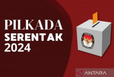 Putusan MK Dinilai Dukung Penguatan Kaderisasi Parpol